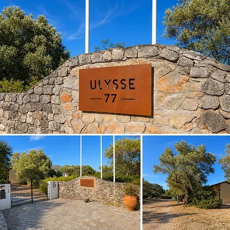 Daire Ulysse77-cozy Sea View House With Garden And Pool Syvota