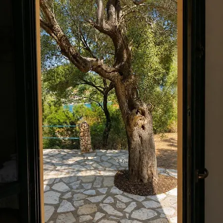 Daire Ulysse77-cozy Sea View House With Garden And Pool Syvota